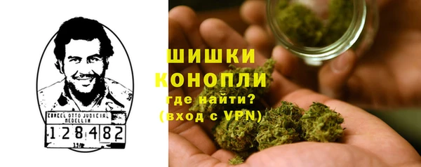 бошки Ельня