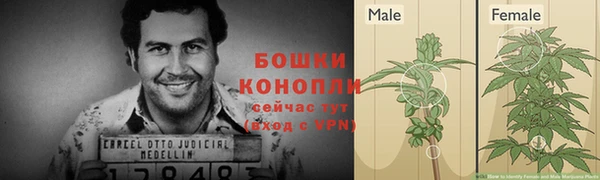 бошки Ельня