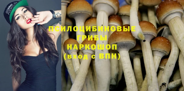 бошки Ельня