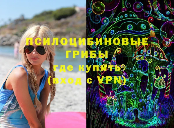 бошки Ельня