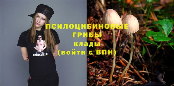 бошки Ельня