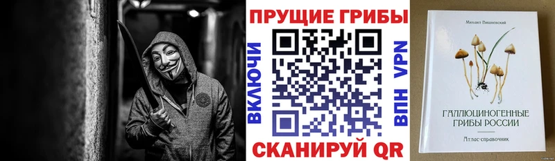 кракен как войти  Королёв  Псилоцибиновые грибы MAGIC MUSHROOMS 